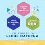 Pack Enfamil 1 800g + Regalo Pañales Chelino Talla 2 - Nutrición y Cuidado para tu bebé - Enfamil