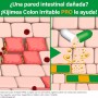 Kijimea Colon Irritable Pro, 28 cápsulas, Ayuda eficaz para el colon irritable - Kijimea