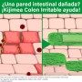 Kijimea Colon Irritable, 14 cápsulas, Ayuda eficaz para el colon irritable - Kijimea