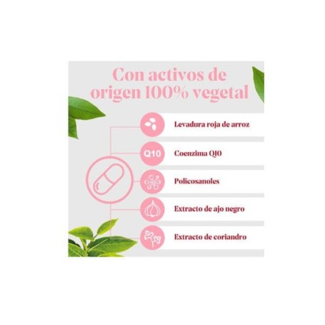 Arkosterol PLUS + Q10 control del colesterol 30 comprimidos - Arkopharma