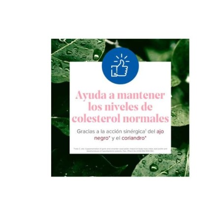 Arkosterol PLUS + Q10 control del colesterol 30 comprimidos - Arkopharma