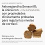 Pack ahorro Electra 3x60 cápsulas suplemento para la ansiedad con Ashwagandha  - Superlativa