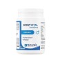 Ergyvital Hombre próstata confort urinario y vitalidad 60 Cápsulas - Nutergia