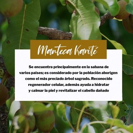 Crema Especial Zonas Castigadas con Manteca de Karité - Saluvital