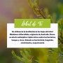 Champú y Gel de árbol de Té - Saluvital