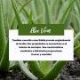 Gel Higienizante de manos con Aloe Vera - Saluvital