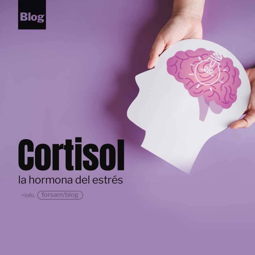 Cómo bajar el cortisol y reducir la ansiedad de forma eficaz